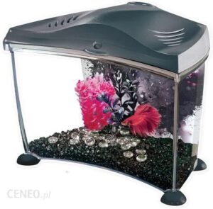 Akwarium Dla Bojownika Rybki Marina Betta Kit 6,7L