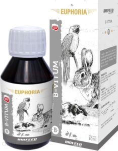 Biofeed Witaminy z grupy B dla ptaków gryzoni i królików B-Vitum 30ml