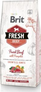 Brit Fresh Beef Pumpkin Puppy Large Growth Joints 12Kg