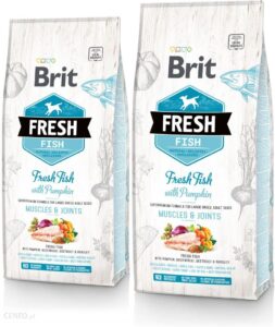 Brit Fresh Fish Pumpkin Adult Large Muscles Joints 2X12Kg