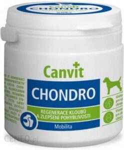 Canvit Chondro For Dogs 100G