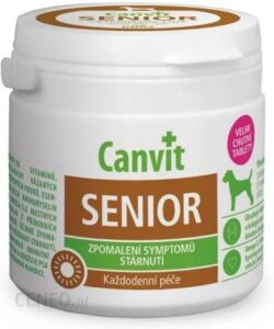 Canvit Senior For Dogs 100G