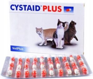 Cystaid Plus Koty 30kaps. pęcherz, układ moczowy