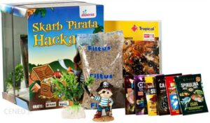 Diversa Zestaw Skarb Pirata Hacka 20x20x25 10l