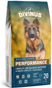 Divinus Performance Dla Owczarka 42% Mięsa 20Kg