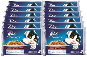 Felix Fantastic Adult W Galaretce Królik I Jagnięcina 48x100G