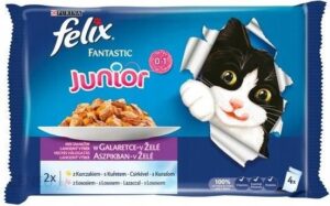 Felix Fantastic Junior W Galaretce Kurczak I Łosoś 48x100G