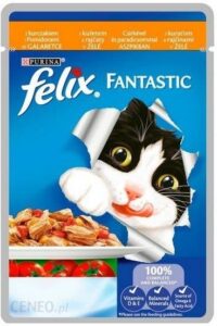 Felix Fantastic Kurczak Z Pomidorem W Galaretce Saszetka 100G