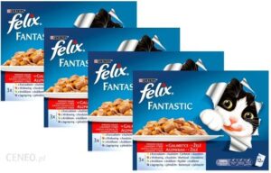 Felix Fantastic W Galaretce Wybór Dań Mięsnych 48x100G