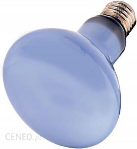 Hobby Neodymowa lampa grzewcza Daylight eco 70 W