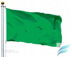 Hurtownia Flag Flaga Libia Zielona 150X90 Flagi Libii Libija Liby