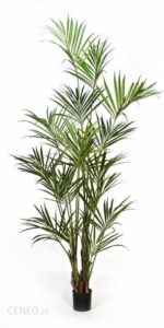 Hurtownia Roślin Sztucznych Naturalna Kentia Kencja Palma 260cm