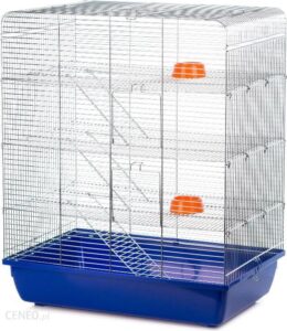 Inter Zoo Remy Ocynk G127 58x38x71.5