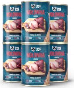 Jane Cat Wołowina I Kurczak 6X400G