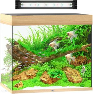 Juwel Lido 200 Akwarium Z Helialux Spectrum Led Jasne Drewno