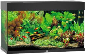 Juwel Rio 125 Led Akwarium Zestaw + Wyposażenie