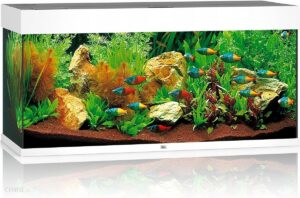 Juwel Rio 180 Led Biały Zestaw Akwariowy