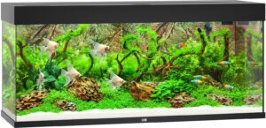 Juwel Rio 240 Led Akwarium Zestaw
