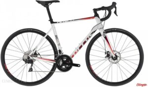 Kellys Arc 50 28 2021