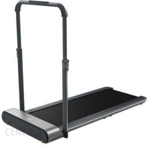 Kingsmith Walking Pad R1 Pro