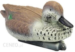 No Brand Bałwanek Cyraneczki Samicy