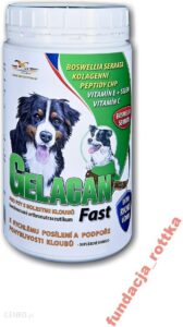 Orling Gelacan Fast 150g