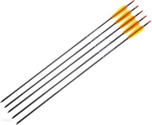 Poe Lang Strzała Aluminiowa 30 Czarna 5szt (D-029Ba-1)