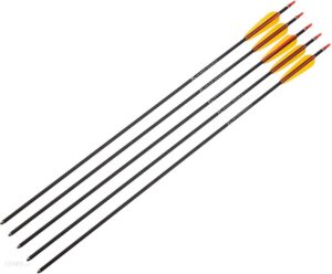 Poe Lang Strzały Aluminiowe 30 Czarne 5szt (D-028Ba-1)