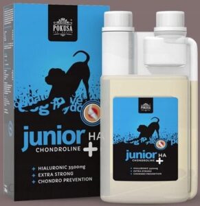 Pokusa Chondroline Junior + Ha 500ml Stawy