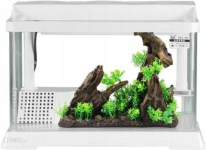 Sunsun Terrarium Dla Żółwia Wodno-Lądowego Sklep Cena