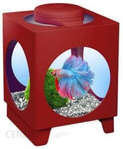 Tetra Betta Projector Zestaw Dla Bojownika Bordowy
