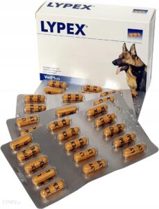 Vetplus Lypex 60 Kapsułek