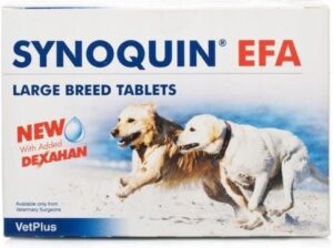 VetPlus Synoquin Efa Duże Rasy 30 Tabl.