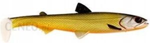 Westin Hypoteez St Official Roach 25cm/110g