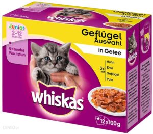 Whiskas Junior Ryba W Galarecie 96X100G