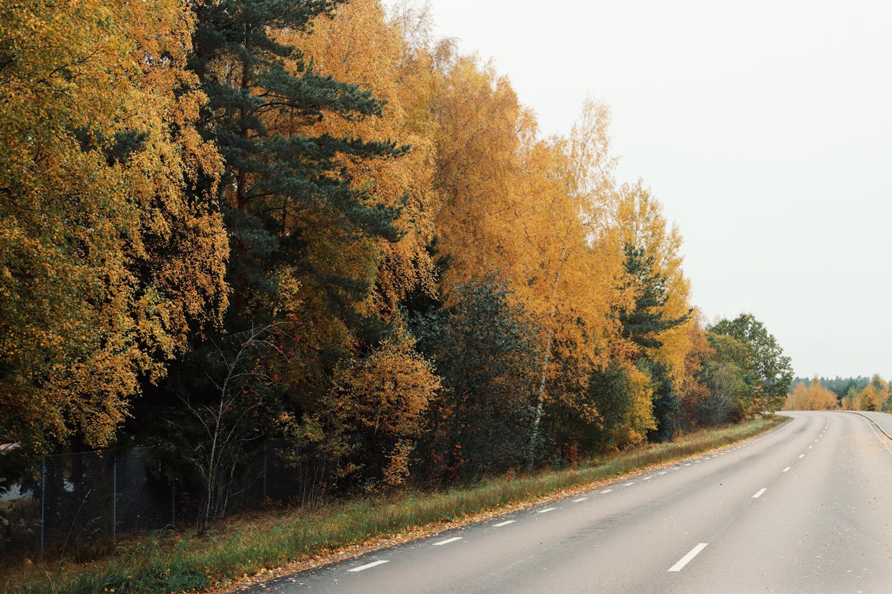 Wyższa jakość obrazu i większa czytelność nagrań