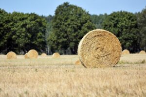 Przenośniki ślimakowe – uniwersalne systemy transportu materiałów sypkich